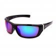 Locs Gold Tag Range Sunglasses LOC503