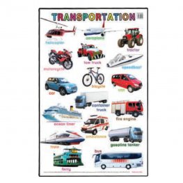 Educational Chart Transportation (MM01454) Educational Chart Transportation (MM01454)