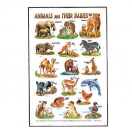 Educational Chart Animals and Their Babies (MM01621) Educational Chart Animals and Their Babies (MM01621)