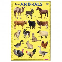Educational Chart Farm Animals (MM14881) Educational Chart Farm Animals (MM14881)