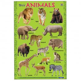 Educational Chart Wild Animals (MM14898) Educational Chart Wild Animals (MM14898)