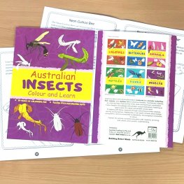 Australian INSECTS Colour and Learn MM50708 Australian INSECTS Colour and Learn MM50708