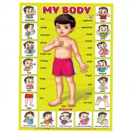 Educational Chart My Body (MM58389) Educational Chart My Body (MM58389)