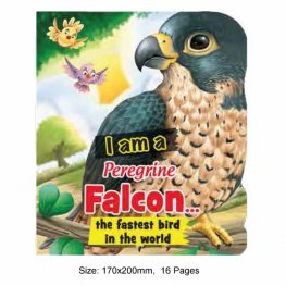 I am a Falcon(MM67371) I am a Falcon(MM67371)