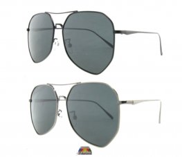 Classics Metal Polarized Sunglasses 2004-S-P Classics Metal Polarized Sunglasses 2004-S-P