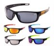 Swisssport Sunglasses - Gold Tag SW282