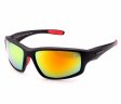 Swisssport Sunglasses - Gold Tag SW286