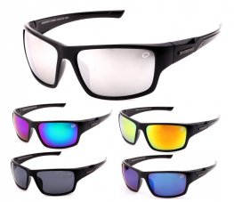 Swisssport Sunglasses - Gold Tag SW287 Swisssport Sunglasses - Gold Tag SW287